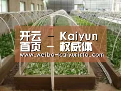 环境展示五