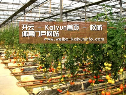种植基地二