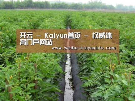 种植基地三