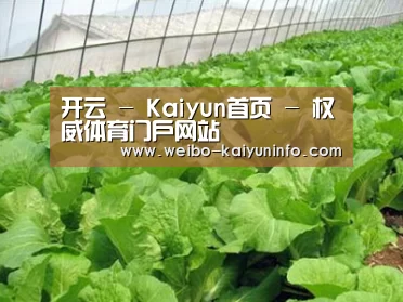 种植基地一